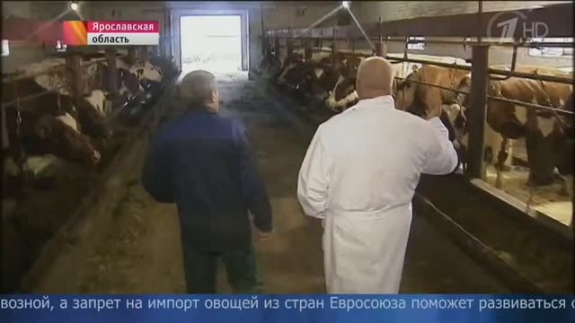 Сельхозпроизводители Ярославской области смотреть онлайн