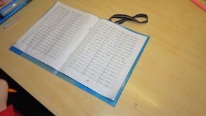 София СОБИРАЕТ ЧЕМОДАН. КУДА ЕДУТ БРОС ШОУ. НЕРФ в  ЧЕМОДАНЕ У Софуньи Шалуньи.