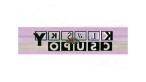 DERP WHAT THE FLIP Csupo Effects Round 1 Vs Everyone (1/100)