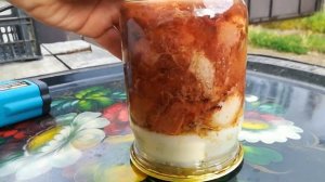 Желе в тушенке. 22°