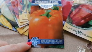 Перец "Оранжевый бык" от агрофирмы Гавриш. Обзор семян к сезону 2023