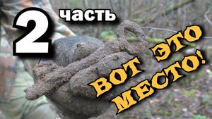 Поиск монет. Интересное место в глухих зарослях. Часть 2