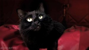 My Dream Quarantine... (50Shades +OwlKitty)