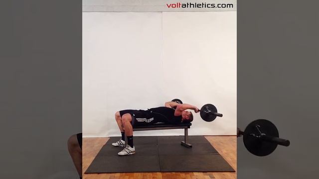 BB Curl + Extension + Close Grip Bench Press | Volt Athletics