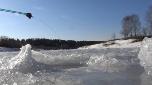 Зимняя рыбалка на окунь - клев только на мотыля алин ерш