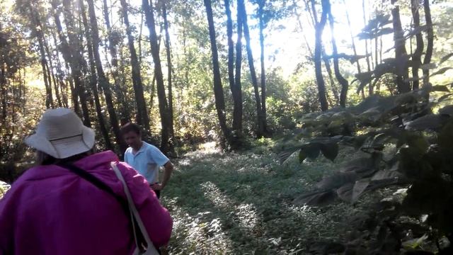 Начало реки Мерефа в Караване по Люботином Харьковской области смотреть онлайн