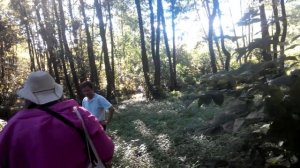 Начало реки Мерефа в Караване по Люботином Харьковской области