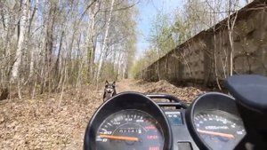 мопед комета 49(110куб)
