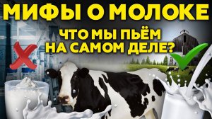 Вся Правда о Молоке | Что мы пьем на самом деле? Как выбрать молоко? Андрей Даниленко