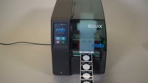 Cab Squix 4 Printer & Accessories Overview