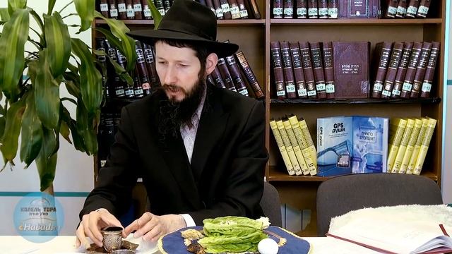 Показательный седер Песах. Как проводят седер? (Подготовку нужно сделать ДО наступления праздника!)