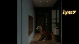 Подборка Страшилок WildCraft Топ 3 Часть 5