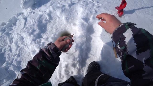 Солнце, лед, весна и... рыбалка! Ловлю подлещиков, густеру. Вытряс щурогая. смотреть онлайн