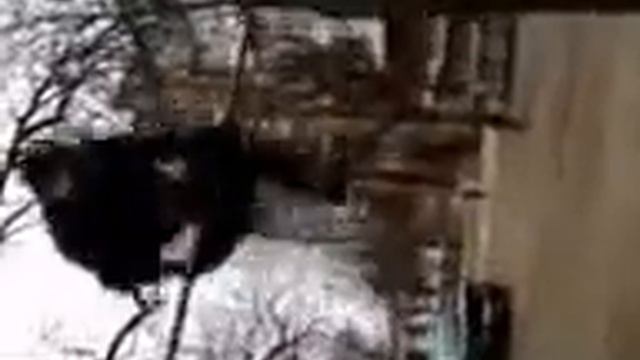 воркаут александрия смотреть онлайн