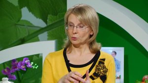 Чай и кофе: вред или польза? | Здравствуйте