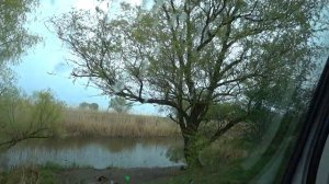 рыбалка в краснодарском крае рыбалка на кубани бесплатная рыбалка рыбалка край рыбалка кубань