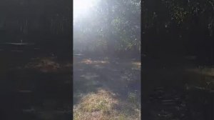 Продажа дома в Тамбовской области.450000!!!Райское местечко!