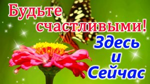 ДОБРОЕ УТРО! Будьте СЧАСТЛИВЫМИ здесь и сейчас! Пожелание с добрым утром. Музыкальная открытка