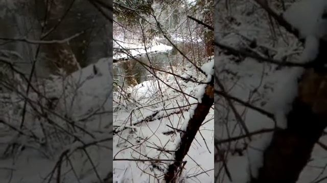 рыбалка в сибири ловим сетью чебаков в таёжном ручье .