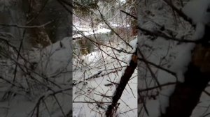 рыбалка в сибири ловим сетью чебаков в таёжном ручье .
