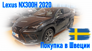 Покупка и пригон автомобиля из Европы (Скандинавия, Швеция). Lexus NX300H 2020 г.в.