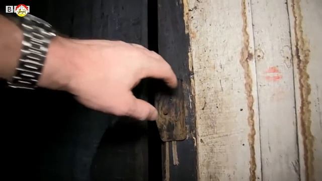 Вампиры в заброшеной хижине. Летучая мышь вампир смотреть онлайн