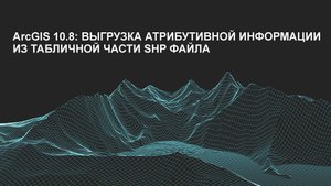 ArcGIS 10.8: выгрузка атрибутивной информации из табличной части shp файла.