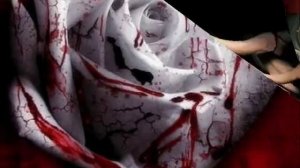 Люциус и Нарцисса МалфОй