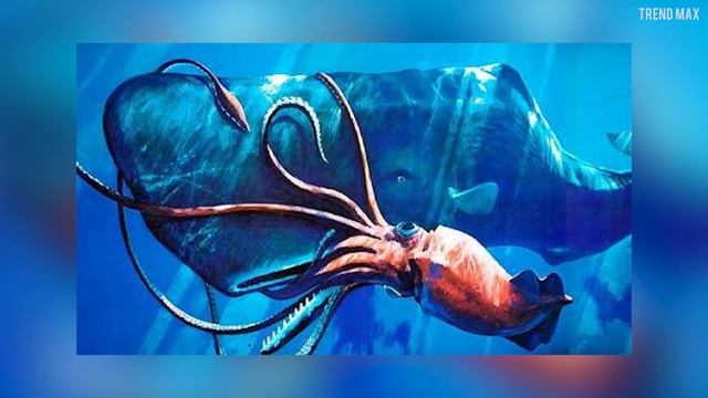 The BIGGEST WHALES In The World ? смотреть онлайн