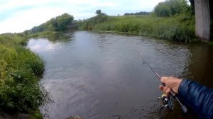 Жерех на всплеск.Ловля жереха и голавля на воблеры ультралайтовым спиннингом