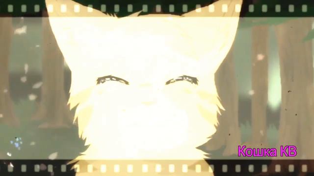 Коты-Воители~Огнезвёзд и Песчаная Буря--Зая(заказ) смотреть онлайн