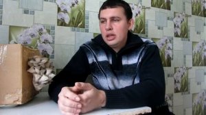 Выращиваем вешенки в коробке
