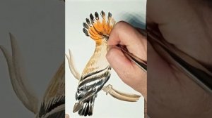 Как нарисовать птицу Удод красками.