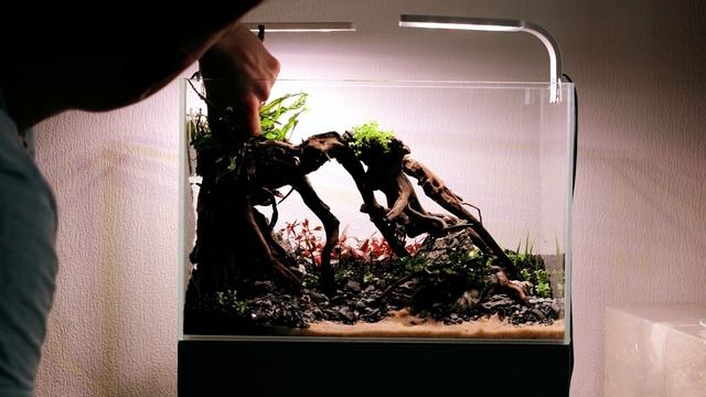 Запуск аквариума 30 литров с растениями / aquascape tutorial