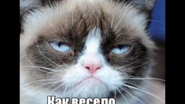 #яблоко#ълллллшшщццдъ#7октября смотреть онлайн