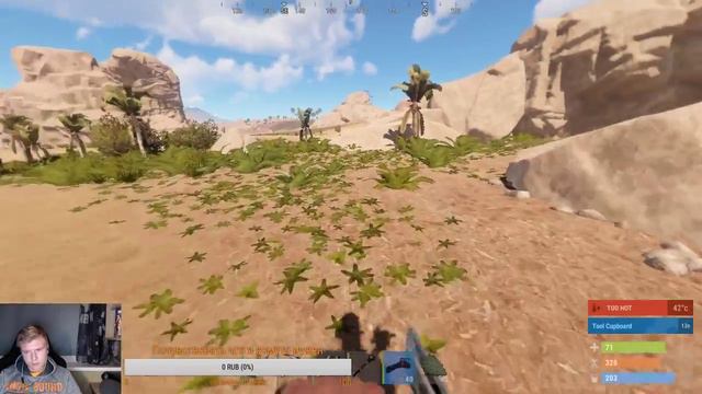 Ночной стрим по (RUST/PACT)