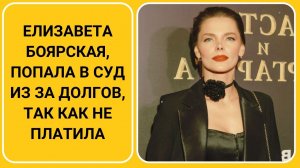 Елизавета Боярская, попала в суд из за долгов, так как не платила