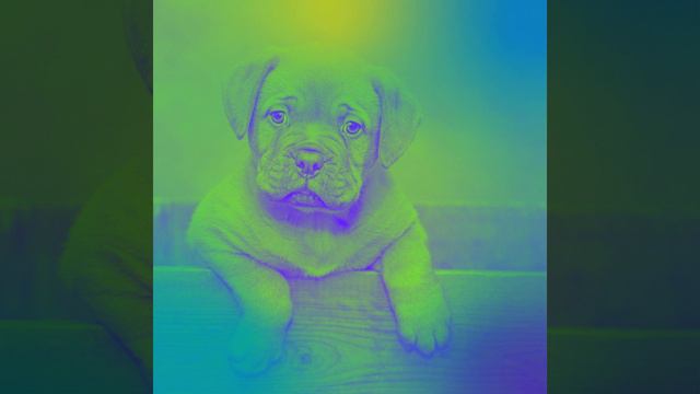 Атмосфера (Выгул собак) смотреть онлайн