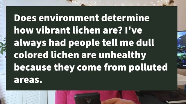 Lichen appearances (Through the Lichen Glass, Episode 2) смотреть онлайн
