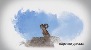 Мангистау. Царство уриала