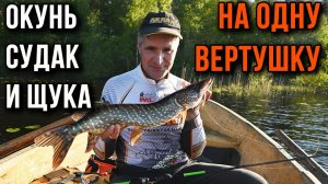 Окунь судак и щука на вертушки
