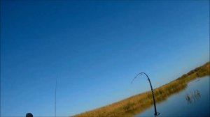 Рыбалочка, октябрь 2020 Астраханская область, посёлок Зеленга