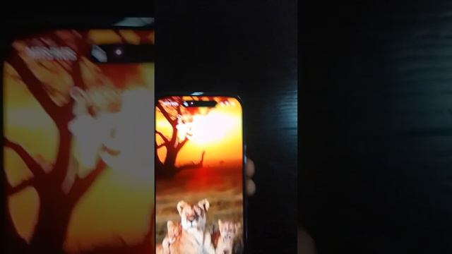 обзор iphone 14 PRO смотреть онлайн