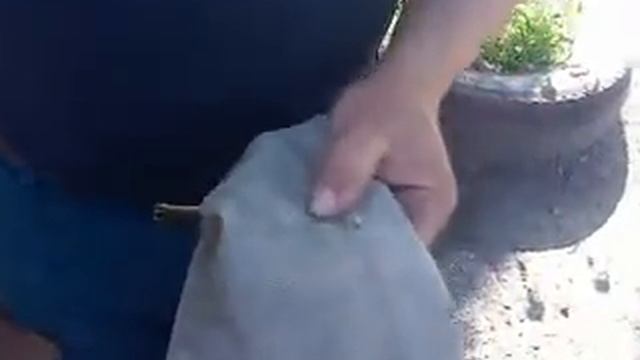 Видео0005.3gp смотреть онлайн