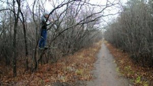 MC Витя 228 (feat. Серый Медведь) - У Витальки нет гинетальки