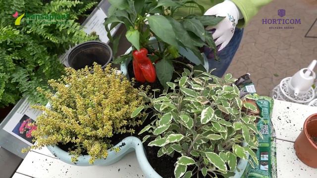 Suvelillede istutamine смотреть онлайн