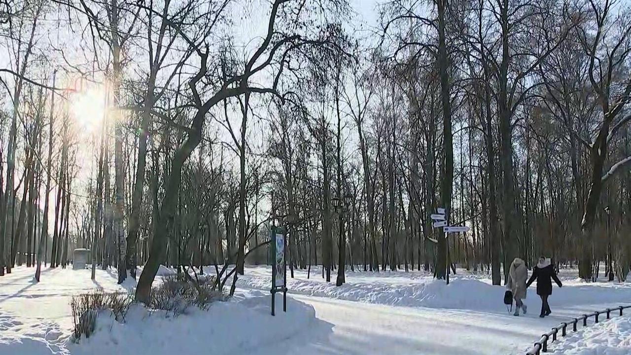 Жителей столичного региона на следующей неделе ожидает октябрьская погода
