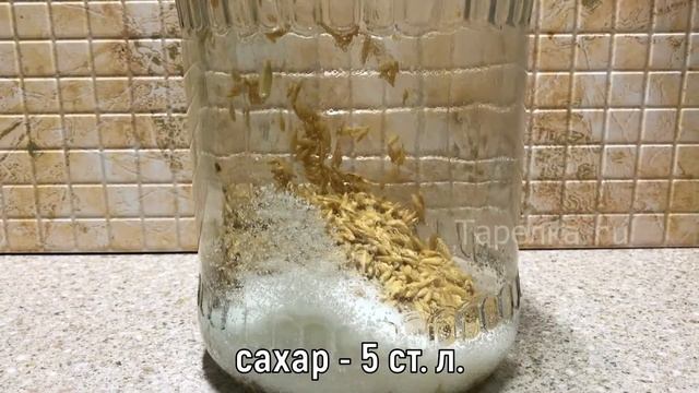 ОСВЕЖАЮЩИЙ КВАС ИЗ ОВСА, БЕЗ ДРОЖЖЕЙ. КАК ПРИГОТОВИТЬ ОВСЯНЫЙ КВАС? ОВСЯНЫЙ КВАС ВКУСНЫЙ И ПОЛЕЗНЫЙ смотреть онлайн