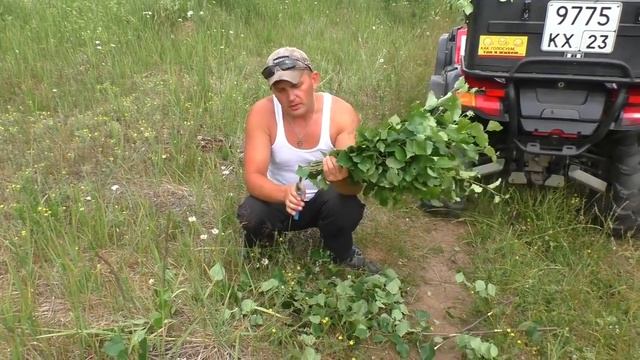 Летний отдых Заготавливаем веники, поиск на пляже в воде смотреть онлайн