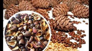 ГОДНЫЕ РЕЦЕПТЫ УДАЛЕНИЕ ВОЛОС НАВСЕГДА / EFFECTIVE RECIPES FOR HAIR REMOVAL FOREVER